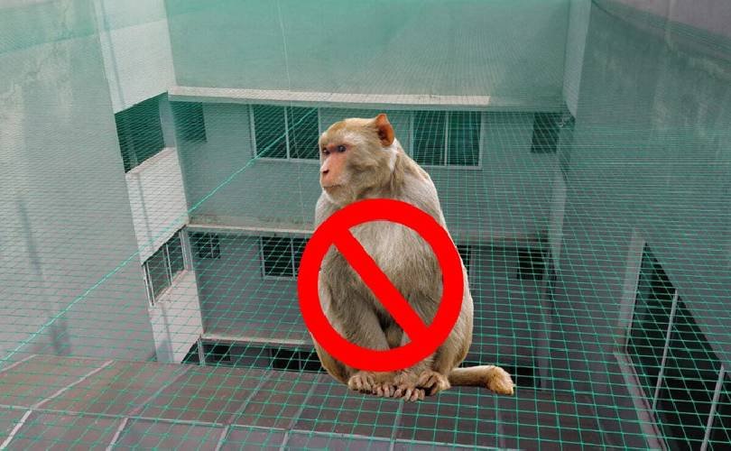 Monkey Safety Nets In Kerala and Kochi